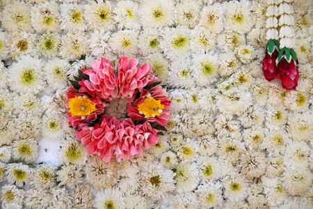 Bright colorful multicolored flowers, Thailand, Southeast Asiaの写真素材
