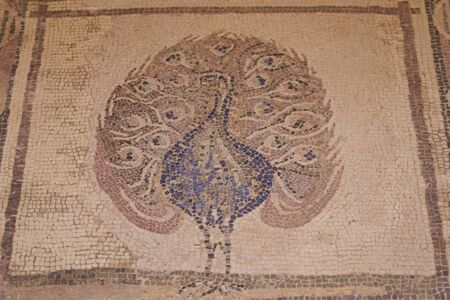 Ancient mosaic on the floor as the art of ancient Greek civilizationの写真素材
