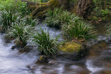 Beautiful brook from waterfalls clear and fresh water are falling down with rock and small green...