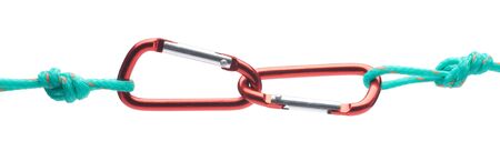 Carabins isolated over whiteの写真素材