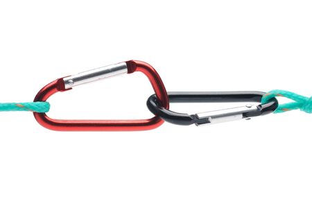 Carabins isolated over whiteの写真素材