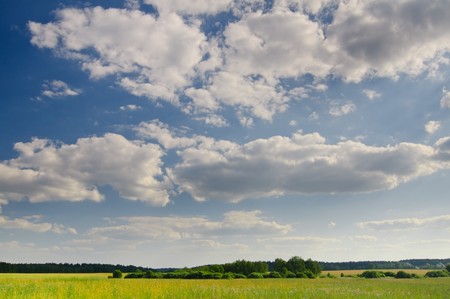 Summer skyの写真素材