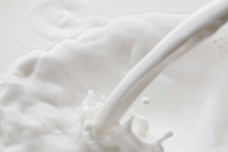 milk splashの写真素材