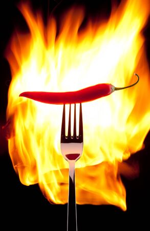 Chili in fireの写真素材