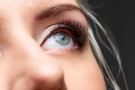 Female eye with long eyelashes. Beauty concept.