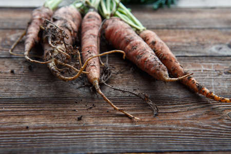 Raw fresh organic carrots on wooden tableの写真素材