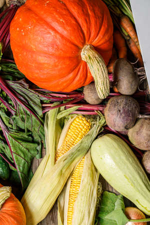 Pumpkin, sweetcorn, vegetable marrow, carrots and beets on wooden backgroundの写真素材