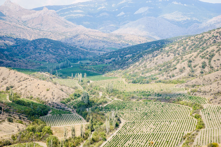 Beautiful landscape with hills covered by trees and agricultural fields, and rocky mountainsの写真素材