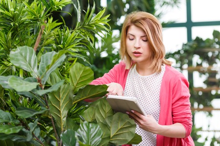 Woman with tablet around flowersの写真素材