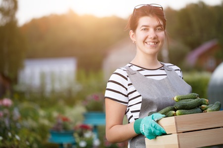 Girl with harvest of cucumbersiの写真素材