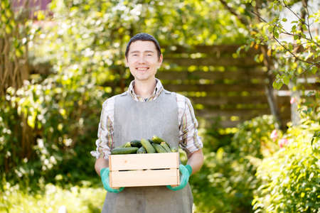 Brunet holding box with cucumbersの写真素材