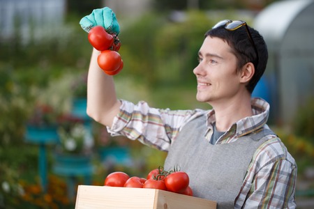 Photo of agronomist with tomatoの写真素材