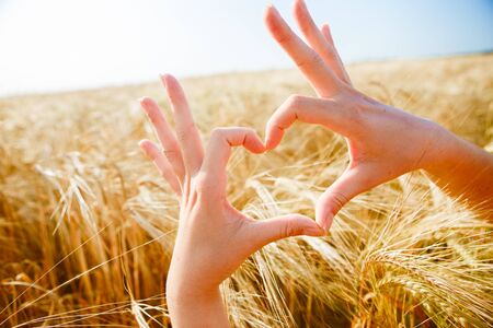 Photo of heart from palms on fieldの写真素材