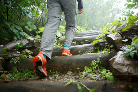 Photo of man walking on ladder of logsの写真素材