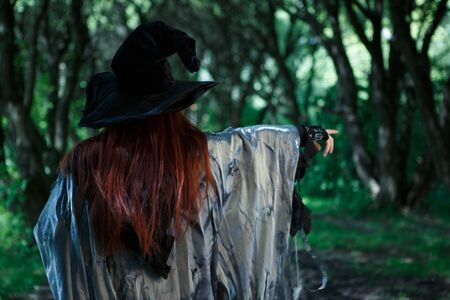 Photo from back of witchの写真素材