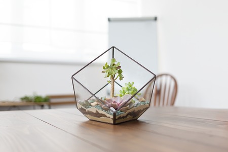 Photo of florarium with stones succulentsの写真素材