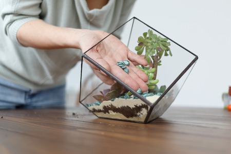 Picture of womans florist showing master class on making florarium with stonesの写真素材