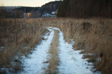 Photo of autumn field with tree, snowy roadの写真素材