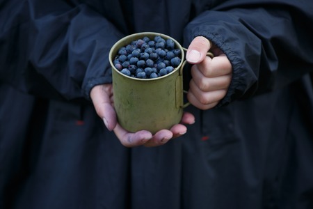 Full metal cup with fresh blueberries in hands