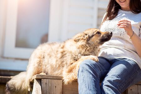 Photo of dog and woman in jeans sitting on wooden bench against background of white building on...