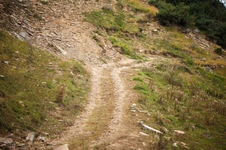 Photo of road in highlands on summer dayの写真素材