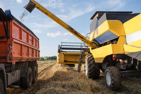 Photo of combine harvesting wheat on autumn.の写真素材