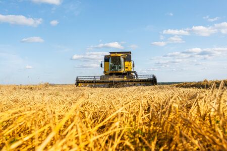 Picture from afar of harvester harvesting wheat, blue sky.