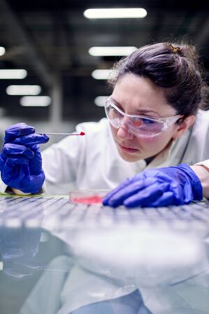Young woman laboratory assistant with petri dish in hands