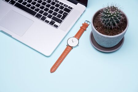 Wristwatch, laptop, pot of cactus on empty blue backgroundの写真素材