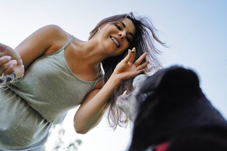 Happy woman and black dog against blue sky in afternoonの写真素材