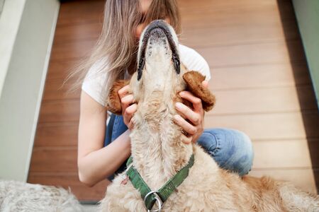 Girl stroking happy dog street in afternoon on background of brown wall, close-upの写真素材