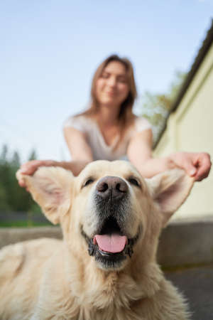 Close-up of girl holding dog by ears on summer dayの写真素材