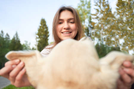 Close-up of happy girl holding dog by ears on summer dayの写真素材