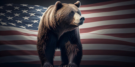 Portrait of bear on usa flagの写真素材