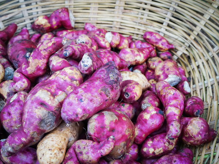 fresh purple yams in a basketの写真素材
