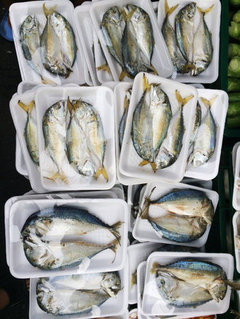 Thai mackerelの素材