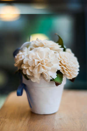 blossomの写真素材