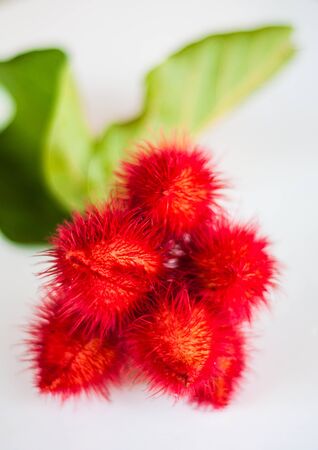 Red backgroundの写真素材