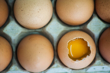 Eggsの写真素材