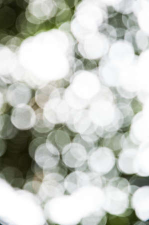 Bokeh backgroundの写真素材