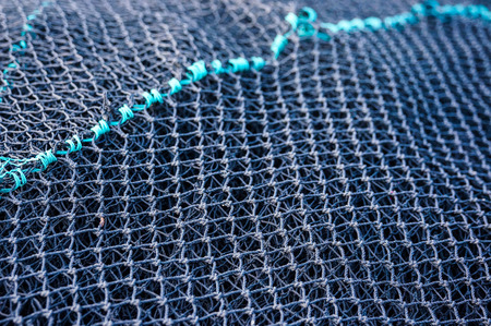 Trawl background