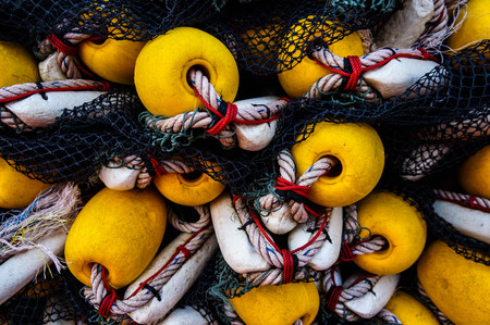 Trawl background