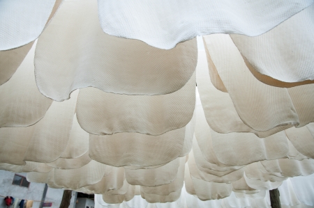 Rubber sheetの写真素材