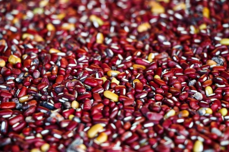 Beans grain