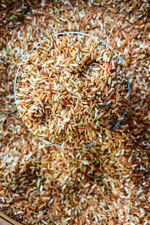 Rice grainの写真素材