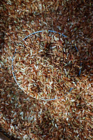 Rice grainの写真素材