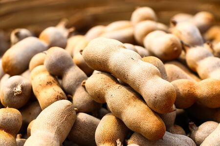 Tamarindsの写真素材