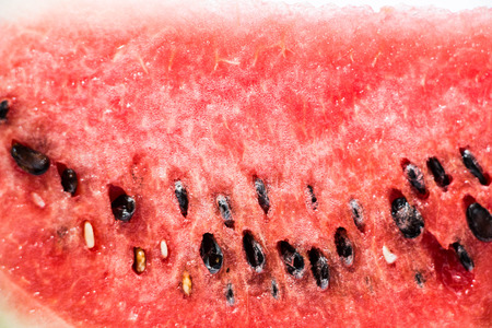 Watermelon on white backgroundの写真素材