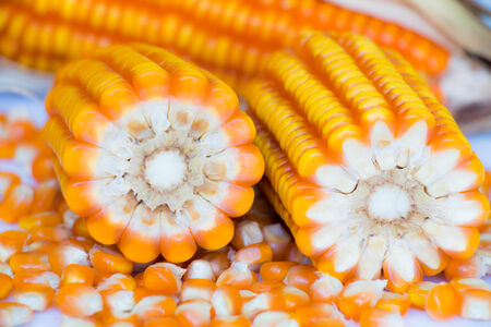 Yellow corn
