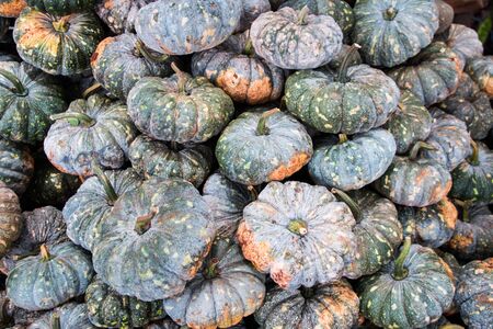 Pumpkin in fruit marketの写真素材